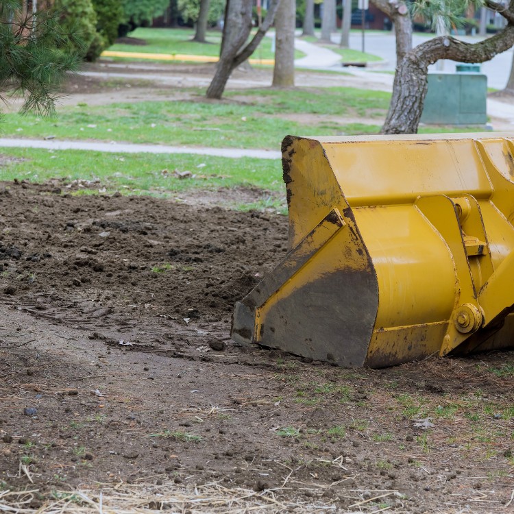 Land Management in Wise & Parker County TX Land Management in Wise & Parker County TX