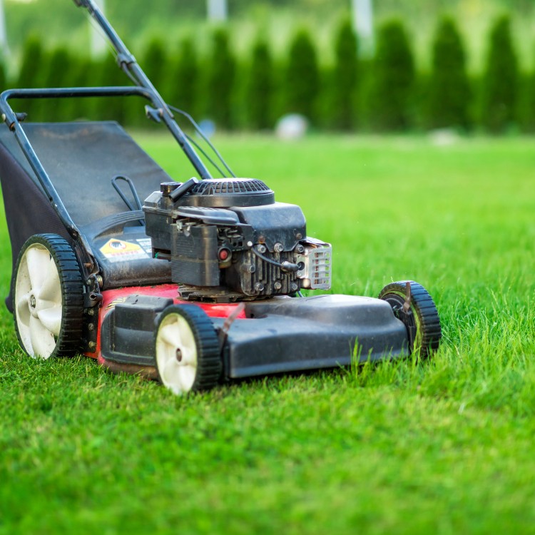 Land Management in Wise & Parker County TX Land Management in Wise & Parker County TX