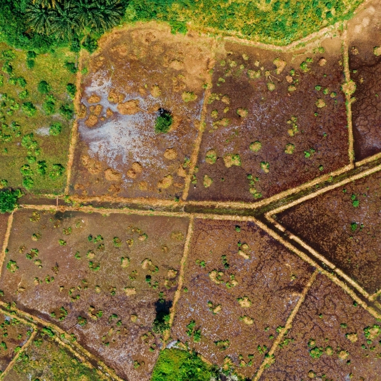 Land Management in Wise & Parker County TX