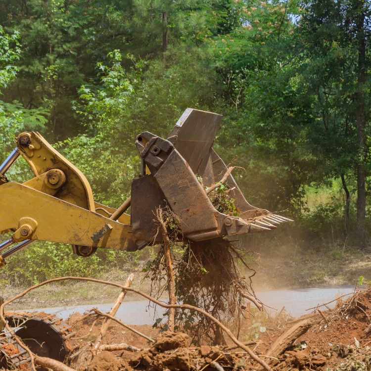 Land Management in Wise & Parker County TX